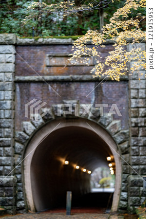 公園のトンネルとモミジ（弥彦公園） 121915953