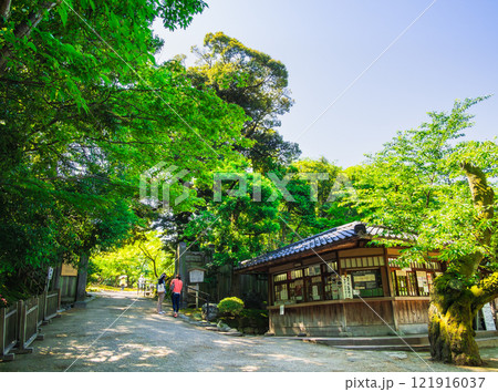 金沢　春の兼六園　桂坂口 121916037
