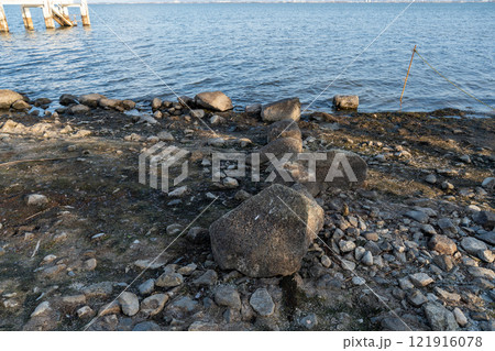 坂本城 琵琶湖に沈んでいた石垣 坂本城 琵琶湖に沈んでいた石垣 121916078