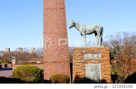 青空の根岸森林公園と馬の博物館　根岸競馬場跡　横浜市　神奈川県 121916100