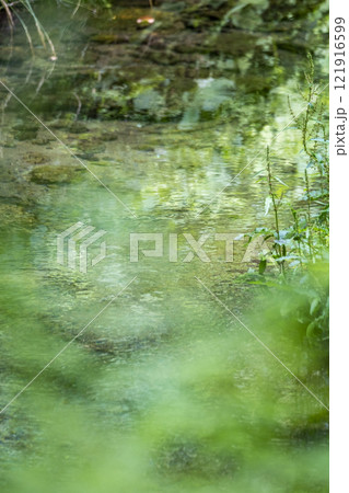 森の新緑と清流 蒜山高原 塩釜 森の新緑と清流 蒜山高原 塩釜 121916599