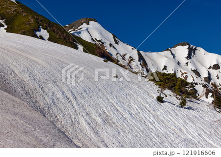 北アルプス・冷池付近から見る鹿島槍ヶ岳 121916606