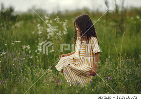 Child in a summer field. Little girl in a cute dress. Child in a summer field. Little girl in a cute dress. 121916672