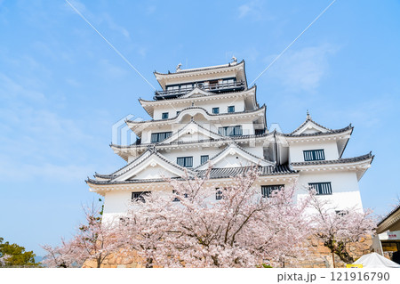 広島 桜満開の福山城　天守 121916790