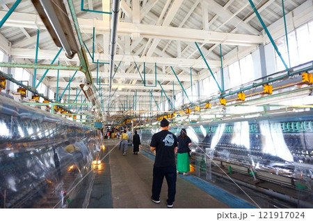 富岡製糸場　繰糸所　繰糸工場　国宝　重要文化財　 121917024