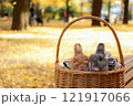 イチョウの絨毯とうさぎ 121917066