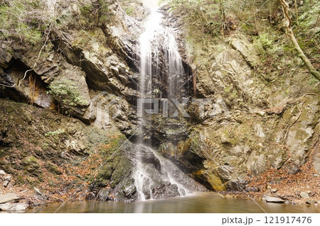 森の中にある滝 奈良県東吉野村投石の滝　 121917476