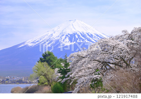 富士と桜 121917488