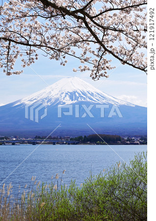 富士と桜 121917492