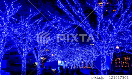 東京クリスマスイルミネーション・青の洞窟　2024　 121917501