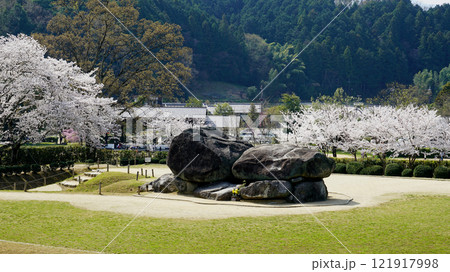 明日香　石舞台　さくら 121917998