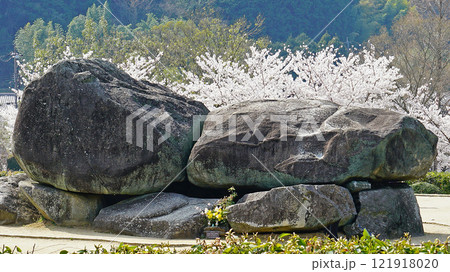 明日香　石舞台　さくら 121918020