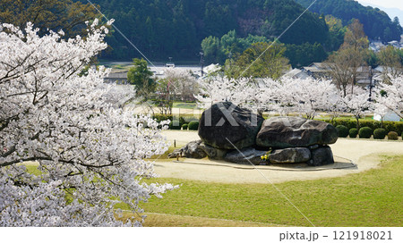 明日香　石舞台　さくら 121918021