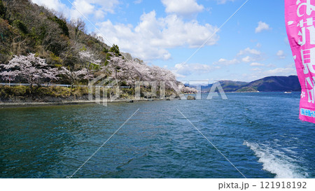 海津大崎 桜 海津大崎 桜 121918192