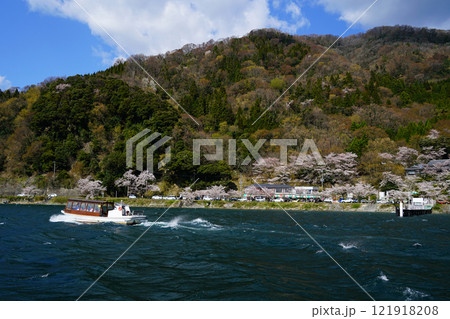 海津大崎　桜 121918208