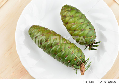 松 マツ 松の木 121918630