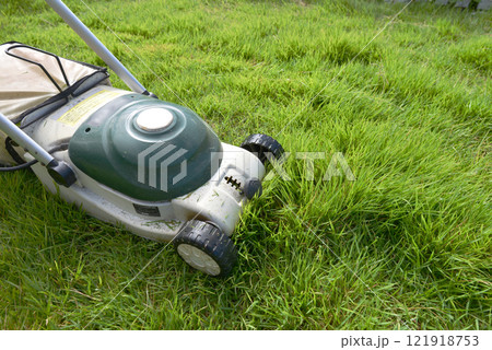 庭の芝生（芝刈り機）08 121918753