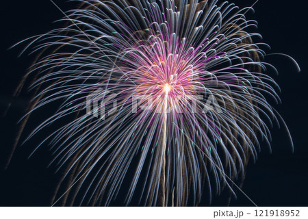 夜空に咲く花火 121918952
