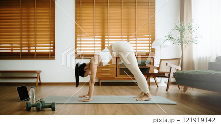 Young Asian woman in sportswear doing plank on training mat Young Asian woman in sportswear doing plank on training mat 121919142