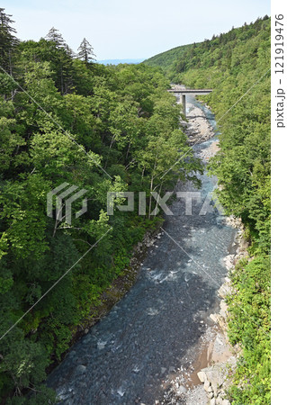 新緑に包まれた白金温泉郷 新緑に包まれた白金温泉郷 121919476