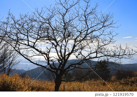 六甲　東お多福山から望む絶景 121919570