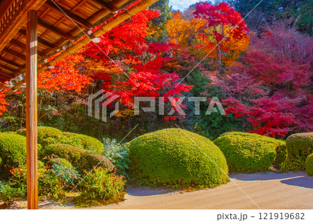 【京都風景】詩仙堂　秋の日差しに赤く染まる庭園 121919682