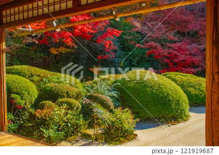 【京都風景】詩仙堂　秋の日差しに赤く染まる庭園 121919687