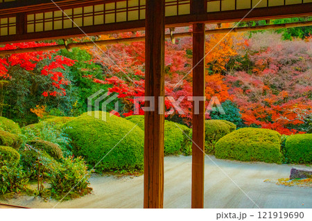 【京都風景】詩仙堂 秋の日差しに赤く染まる庭園 【京都風景】詩仙堂 秋の日差しに赤く染まる庭園 121919690