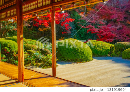 【京都風景】詩仙堂　秋の日差しに赤く染まる庭園 121919694