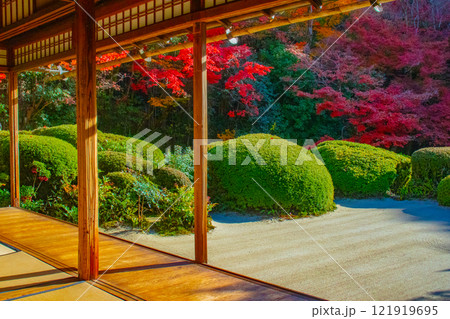 【京都風景】詩仙堂　秋の日差しに赤く染まる庭園 121919695