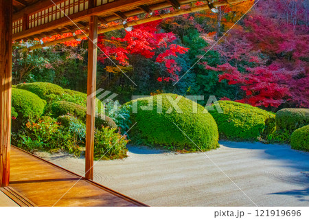 【京都風景】詩仙堂 秋の日差しに赤く染まる庭園 【京都風景】詩仙堂 秋の日差しに赤く染まる庭園 121919696