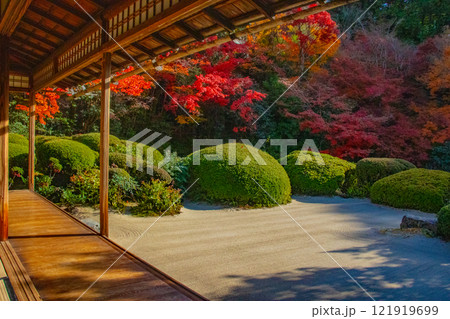 【京都風景】詩仙堂 秋の日差しに赤く染まる庭園 【京都風景】詩仙堂 秋の日差しに赤く染まる庭園 121919699