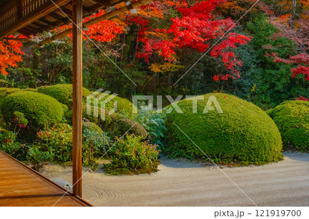 【京都風景】詩仙堂 秋の日差しに赤く染まる庭園 【京都風景】詩仙堂 秋の日差しに赤く染まる庭園 121919700