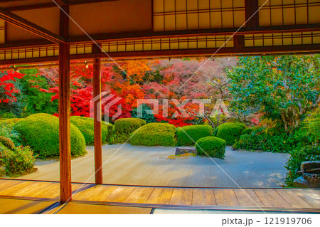 【京都風景】詩仙堂　秋の日差しに赤く染まる庭園 121919706