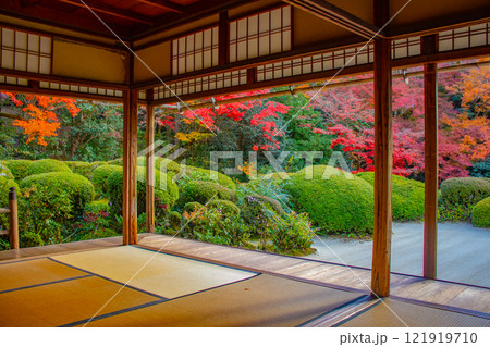 【京都風景】詩仙堂　秋の日差しに赤く染まる庭園 121919710