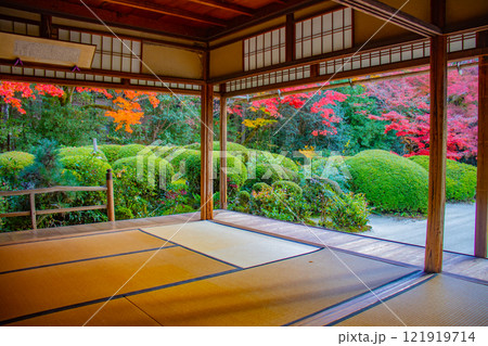 【京都風景】詩仙堂　秋の日差しに赤く染まる庭園 121919714