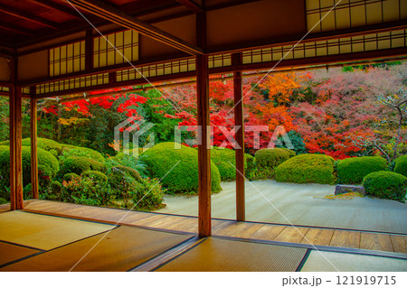 【京都風景】詩仙堂　秋の日差しに赤く染まる庭園 121919715