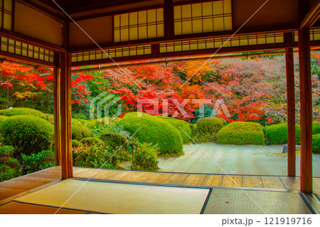【京都風景】詩仙堂　秋の日差しに赤く染まる庭園 121919716
