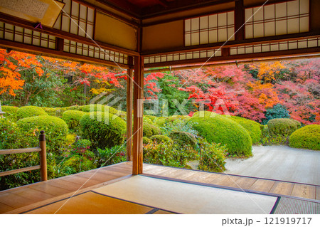 【京都風景】詩仙堂　秋の日差しに赤く染まる庭園 121919717