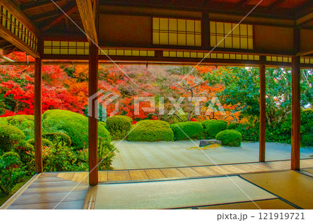【京都風景】詩仙堂 秋の日差しに赤く染まる庭園 【京都風景】詩仙堂 秋の日差しに赤く染まる庭園 121919721