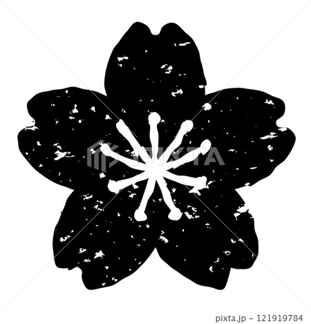 版画風の桜の花のイラスト 白黒 背景透過のイラスト素材 [121919784