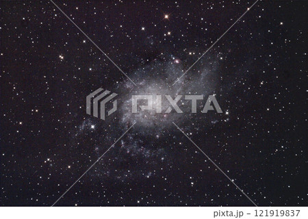 M33 121919837