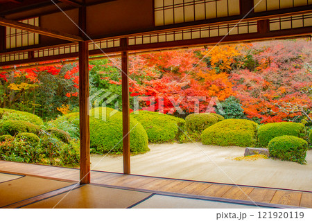 【京都風景】詩仙堂　秋の日差しに赤く染まる庭園 121920119