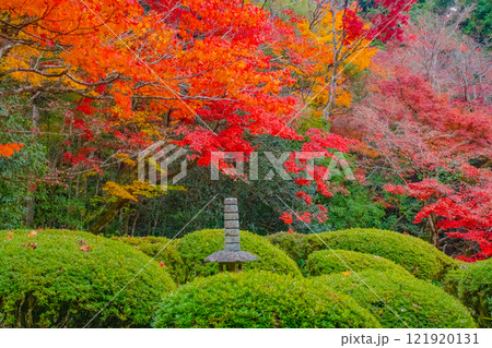 【京都風景】詩仙堂　秋の日差しに赤く染まる庭園 121920131