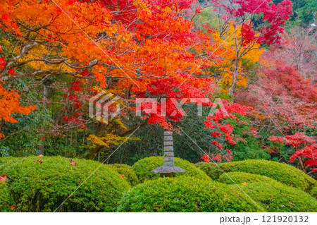 【京都風景】詩仙堂　秋の日差しに赤く染まる庭園 121920132