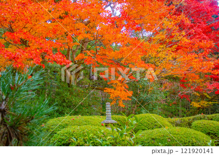 【京都風景】詩仙堂　秋の日差しに赤く染まる庭園 121920141