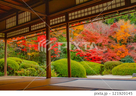【京都風景】詩仙堂 秋の日差しに赤く染まる庭園 【京都風景】詩仙堂 秋の日差しに赤く染まる庭園 121920145