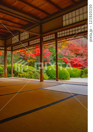 【京都風景】詩仙堂 秋の日差しに赤く染まる庭園 【京都風景】詩仙堂 秋の日差しに赤く染まる庭園 121920150