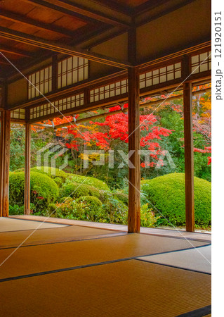 【京都風景】詩仙堂 秋の日差しに赤く染まる庭園 【京都風景】詩仙堂 秋の日差しに赤く染まる庭園 121920151