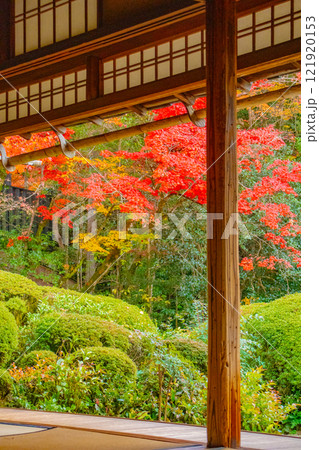【京都風景】詩仙堂 秋の日差しに赤く染まる庭園 【京都風景】詩仙堂 秋の日差しに赤く染まる庭園 121920153